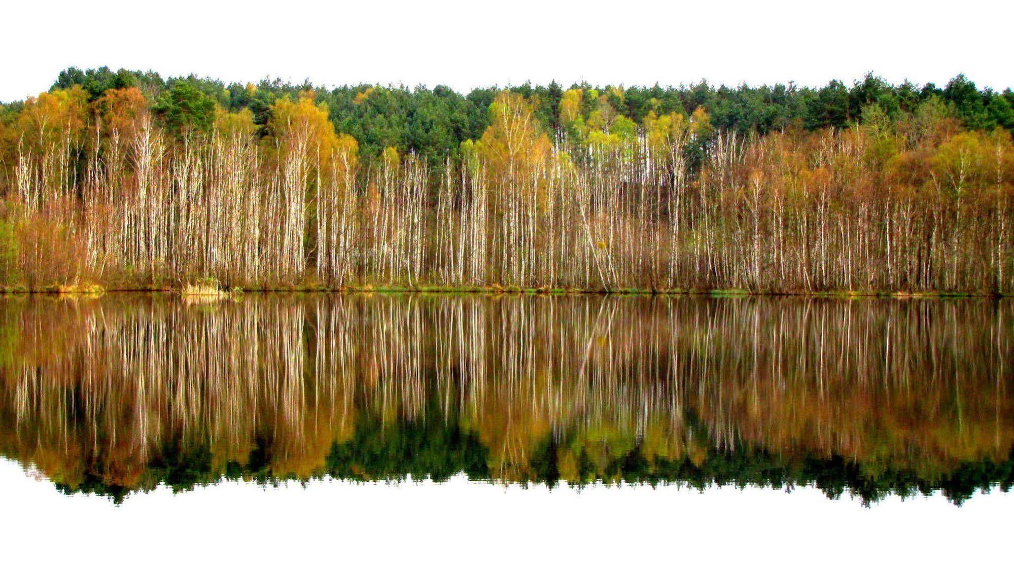 Rezydencja Nad Jeziorem Pestkownica Bagian luar foto